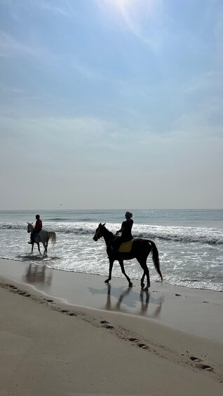 Picture 2 for Activity Salalah: Horse Riding by the Beach