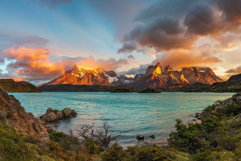 Picture 2 for Activity From Puerto Natales: Torres del Paine Tour with Transfer