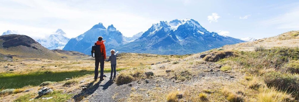 Picture 5 for Activity From Puerto Natales: Torres del Paine Tour with Transfer