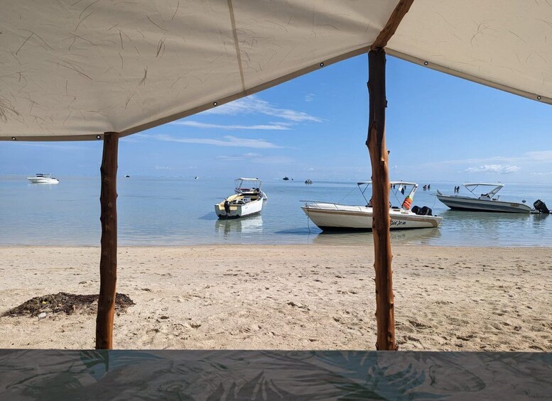 Picture 33 for Activity Mauritius: Private Swim with Dolphins on Benitiers Island