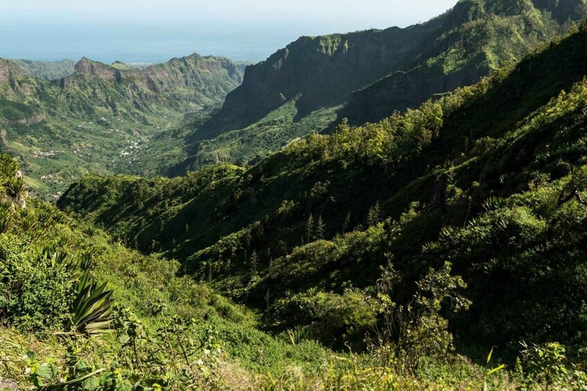 Picture 1 for Activity Hiking: From Serra Malagueta to Ribeira Principal