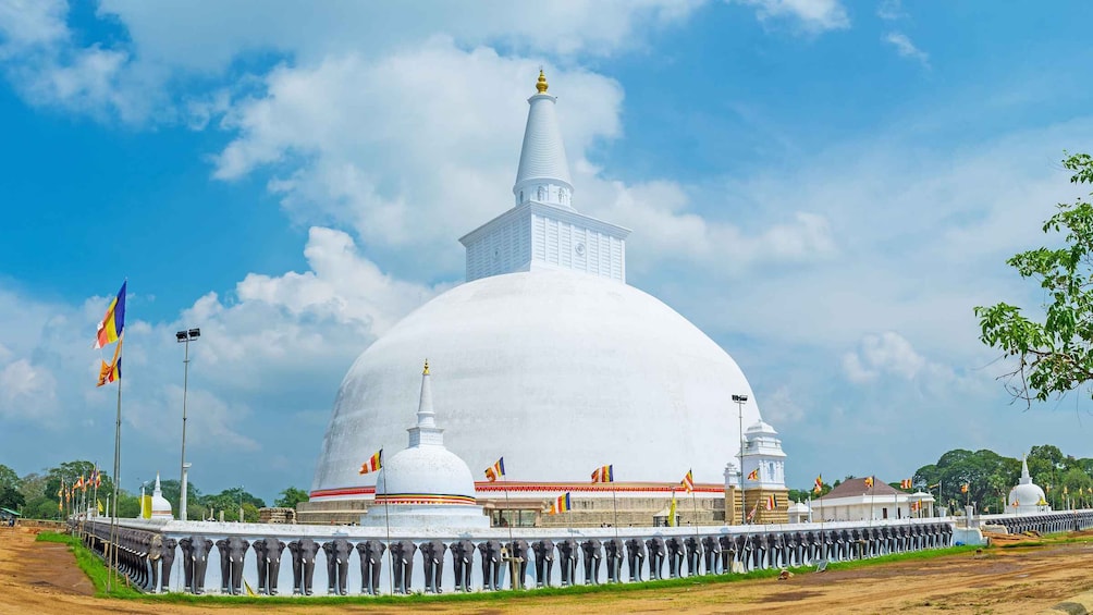 Picture 9 for Activity Day trip to UNESCO city Anuradhapura from Dambulla