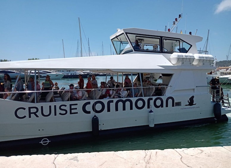 Picture 17 for Activity From Palma: 3-Hour Morning Dolphin Watching Boat Tour