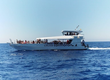 From Palma: 3-Hour Morning Dolphin Watching Boat Tour