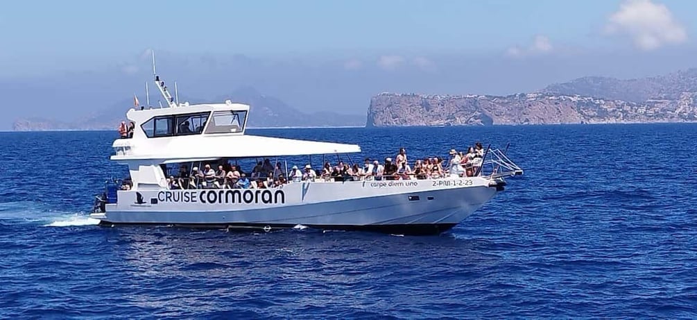 Picture 6 for Activity From Palma: 3-Hour Morning Dolphin Watching Boat Tour