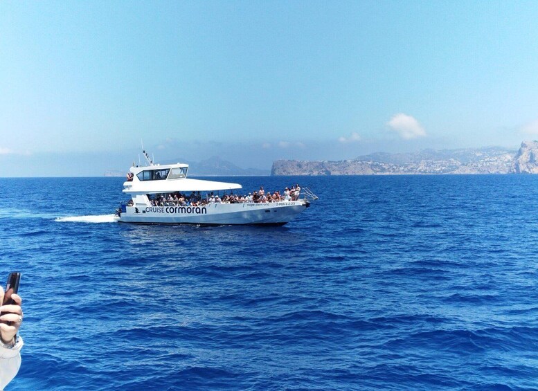 Picture 16 for Activity From Palma: 3-Hour Morning Dolphin Watching Boat Tour