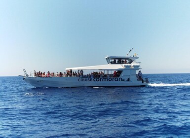 Depuis Palma : 3 heures de bateau le matin pour observer les dauphins excur...