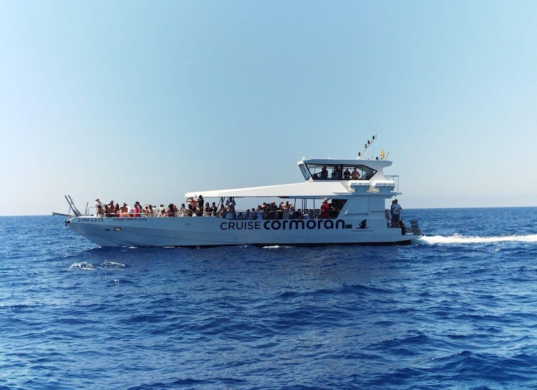 From Palma: 3-Hour Morning Dolphin Watching Boat Tour