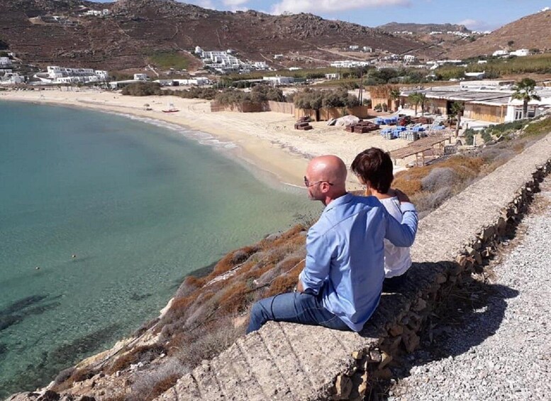 Picture 6 for Activity Mykonos Highlights Tour