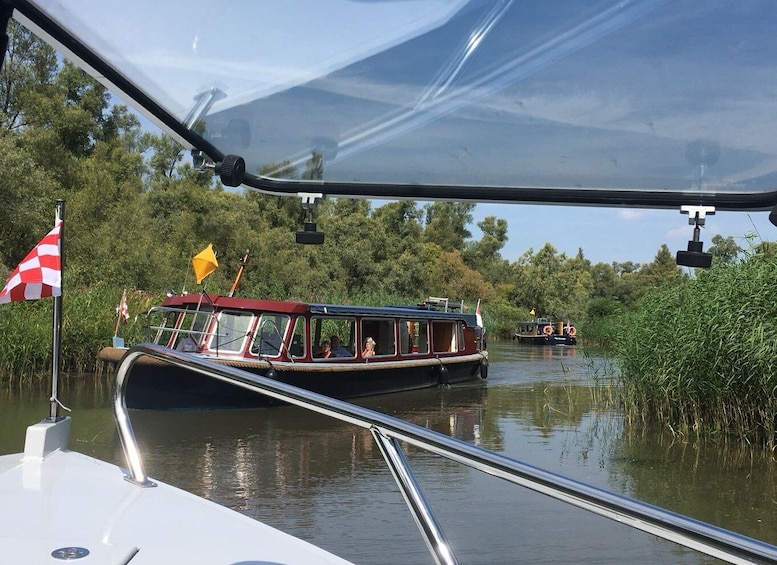 Picture 1 for Activity Werkendam: Boat Cruise and Biesbosch Museum Entry Ticket