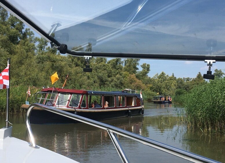 Picture 1 for Activity Werkendam: Boat Cruise and Biesbosch Museum Entry Ticket