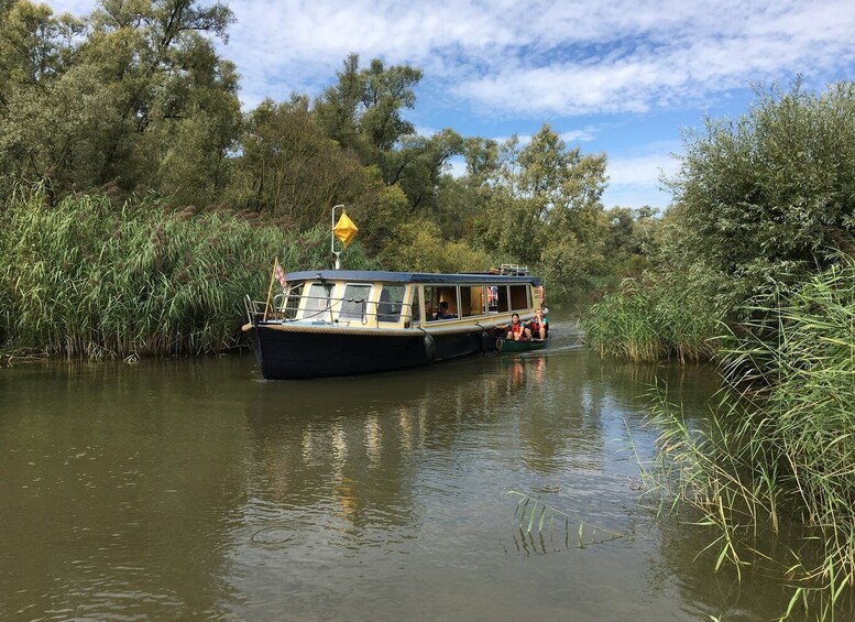 Werkendam: Boat Cruise and Biesbosch Museum Entry Ticket