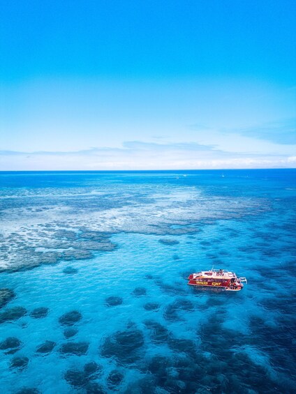 Picture 10 for Activity Airlie Beach: Outer Barrier Reef Snorkeling Day Trip