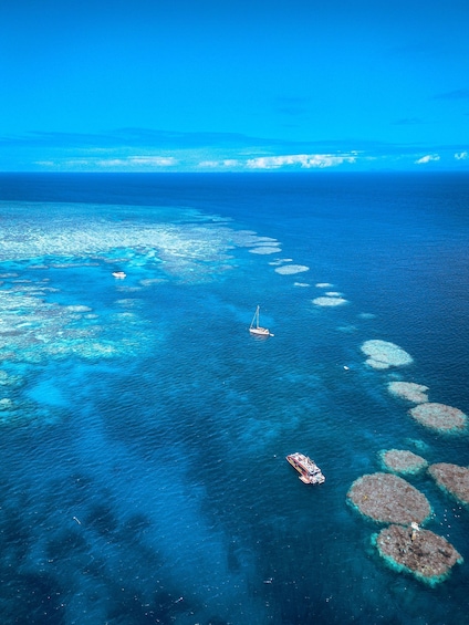 Picture 9 for Activity Airlie Beach: Outer Barrier Reef Snorkeling Day Trip