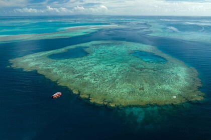 Airlie Beach : Excursion d'une journée à la barrière de corail extérieure p...