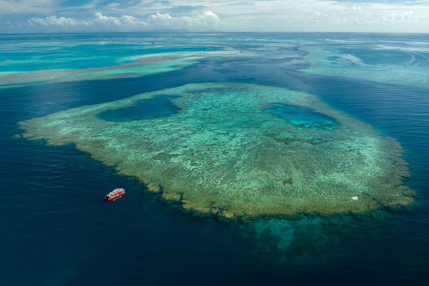 Picture 8 for Activity Airlie Beach: Outer Barrier Reef Snorkeling Day Trip