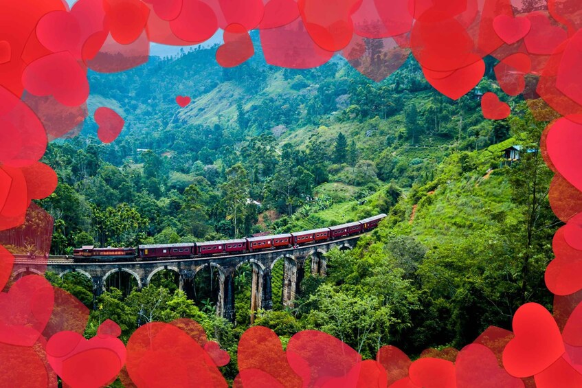 Valentine's Train Kandy to Ella Special 14th February 2025