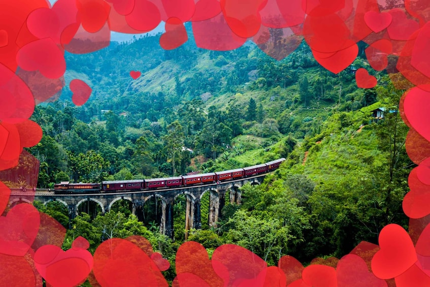 Valentine's Train Kandy to Ella Special 14th February 2025