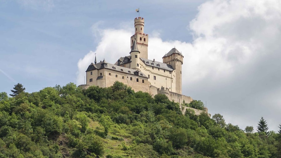Koblenz: Rhine Valley Castles and Palaces Boat Tour