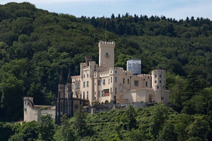Picture 1 for Activity Koblenz: Rhine Valley Castles and Palaces Boat Tour