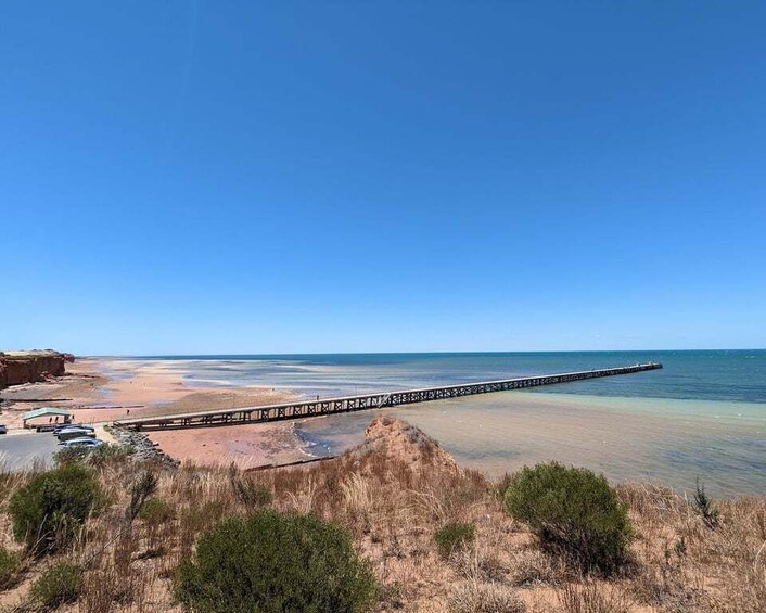 Picture 5 for Activity Yorke Peninsula: Catch n Cook Blue Swimmer Crab Experience