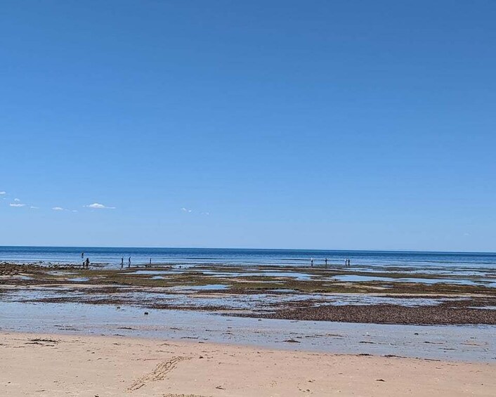 Picture 6 for Activity Yorke Peninsula: Catch n Cook Blue Swimmer Crab Experience