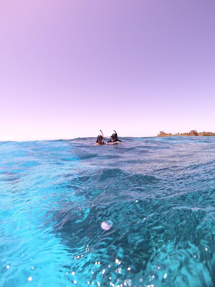 Picture 2 for Activity Snorkeling at Dibba Rock By Boat