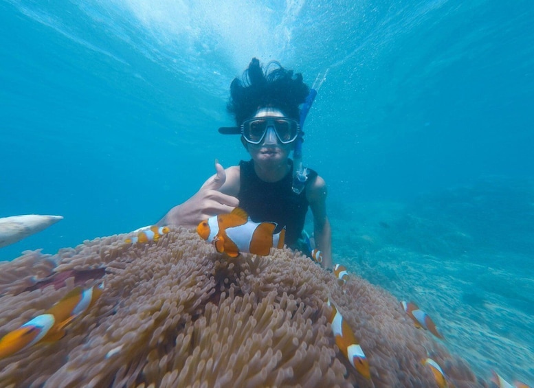 Snorkeling at Dibba Rock By Boat