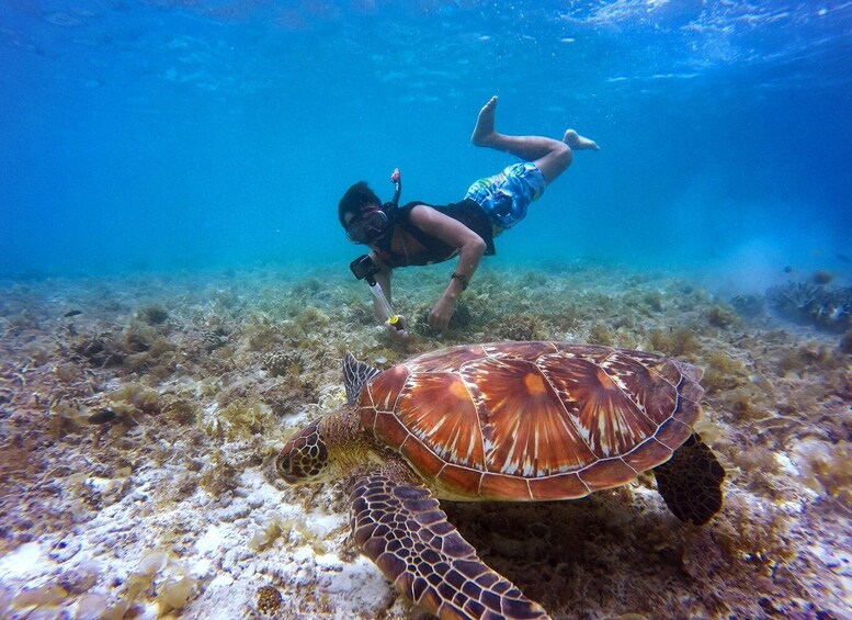 Picture 7 for Activity Snorkeling at Dibba Rock By Boat