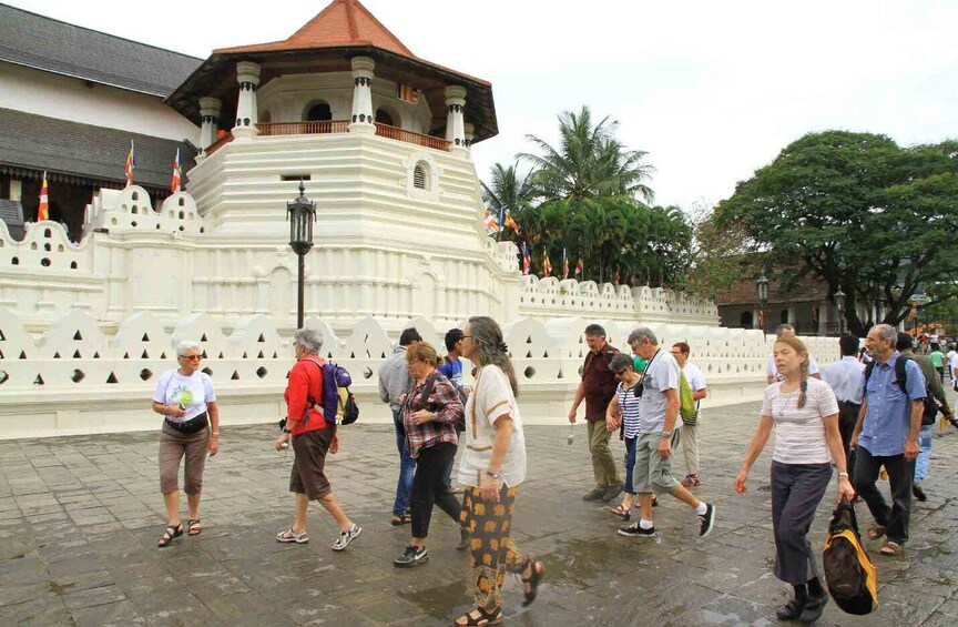 Picture 2 for Activity From Colombo: 2-Day All-Inclusive Kandy & Nuwara Eliya Tour