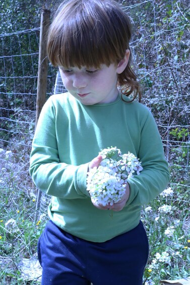 Picture 2 for Activity Wild walk: discover the local wild flora