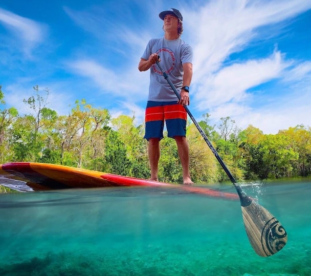 Osprey: Guided Dolphin and Manatee SUP or Kayaking Tour