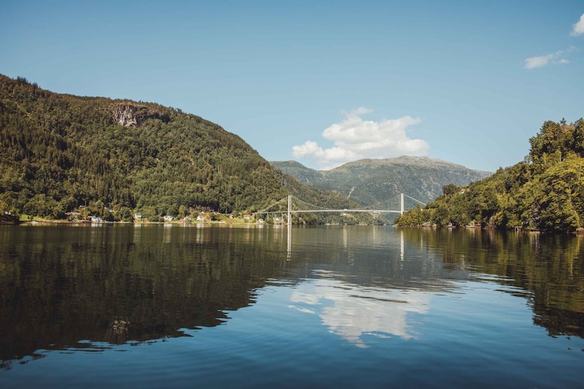 Picture 13 for Activity From Norheimsund: Hardangerfjord & Fyksesund RIB Fjord Tour