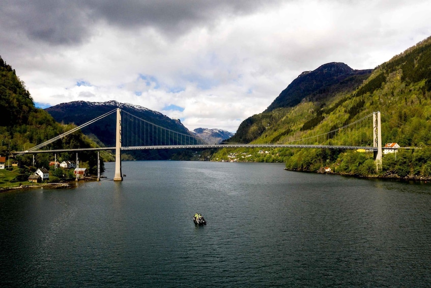 Picture 2 for Activity From Norheimsund: Hardangerfjord & Fyksesund RIB Fjord Tour