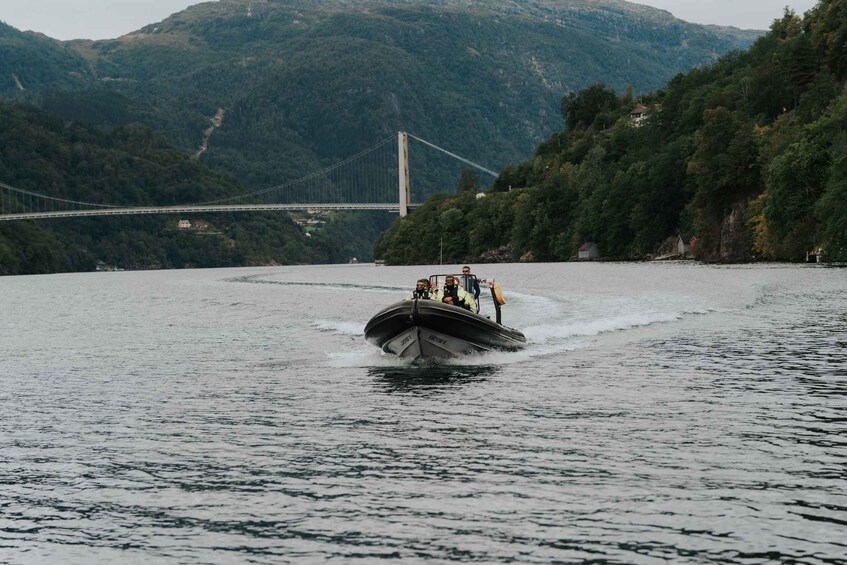 Picture 15 for Activity From Norheimsund: Hardangerfjord & Fyksesund RIB Fjord Tour