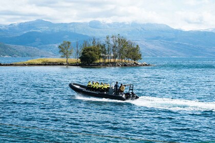 Da Norheimsund: Hardangerfjord e Fyksesund Tour dei fiordi in RIB