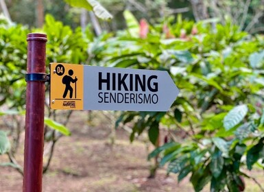 Selbstgeführte Naturwanderung mit Meerblick Fotospots in Jaco