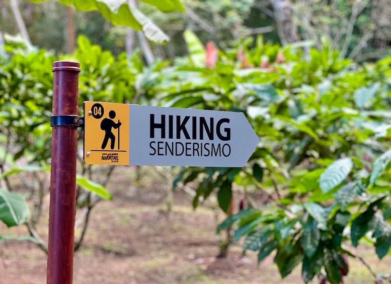 Self Guided Nature Hike with Ocean View Photo spots in Jaco