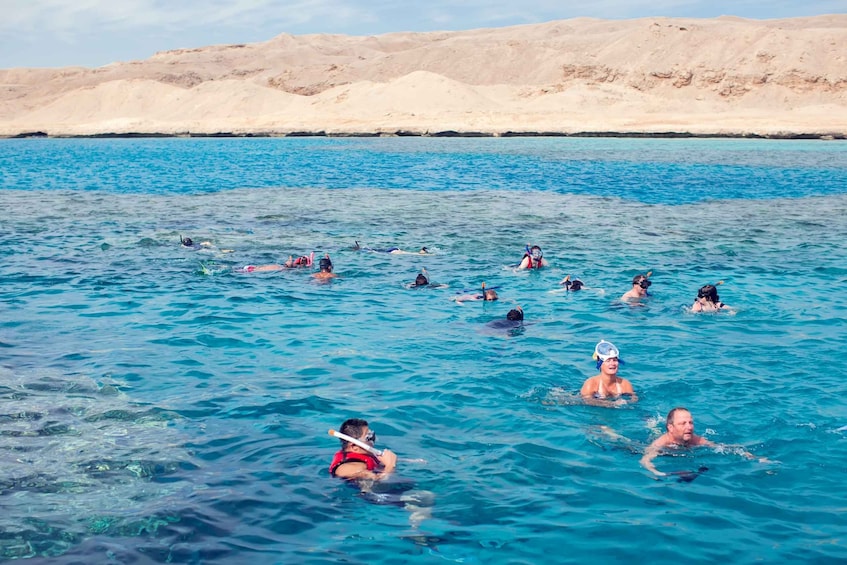 Picture 60 for Activity El Gouna: Dolphin Watching Boat Tour with Snorkeling & Lunch