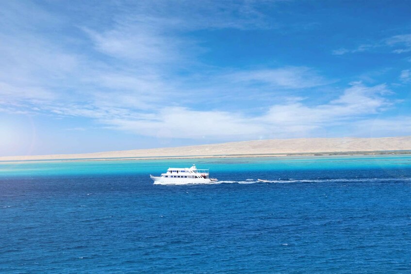 Picture 54 for Activity El Gouna: Dolphin Watching Boat Tour with Snorkeling & Lunch