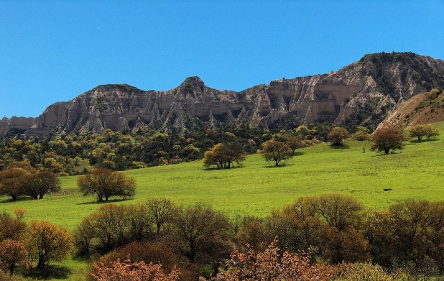 Vashlovani national park - Jeep tour in Georgian Africa