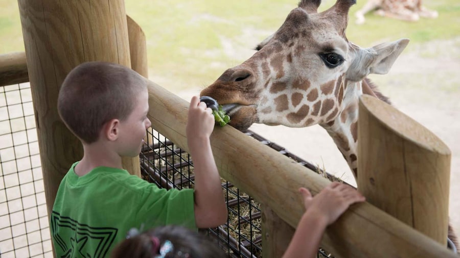 Columbus: Multiple Attractions Pass