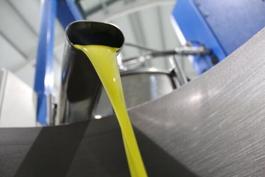 Visit to the Oil Mill in Malaga with Olive Oil Tasting