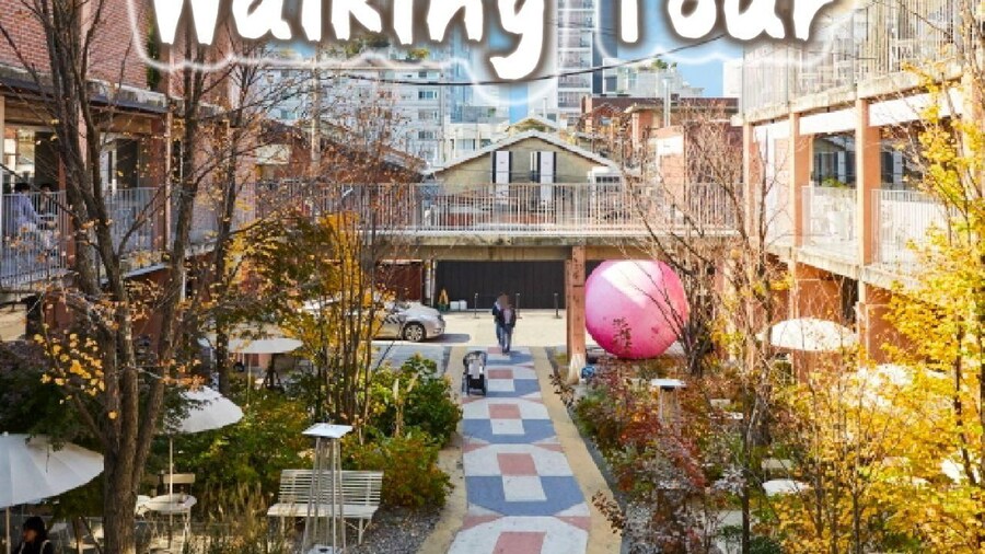 Seongsu-dong Stroll: K-Pop Culture Walking Tour