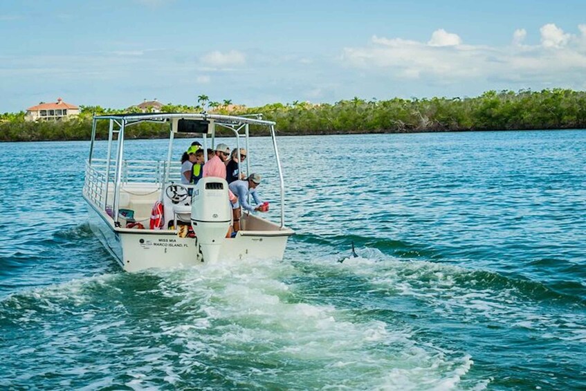 Picture 4 for Activity Marco Island: Dolphin-Watching Boat Tour