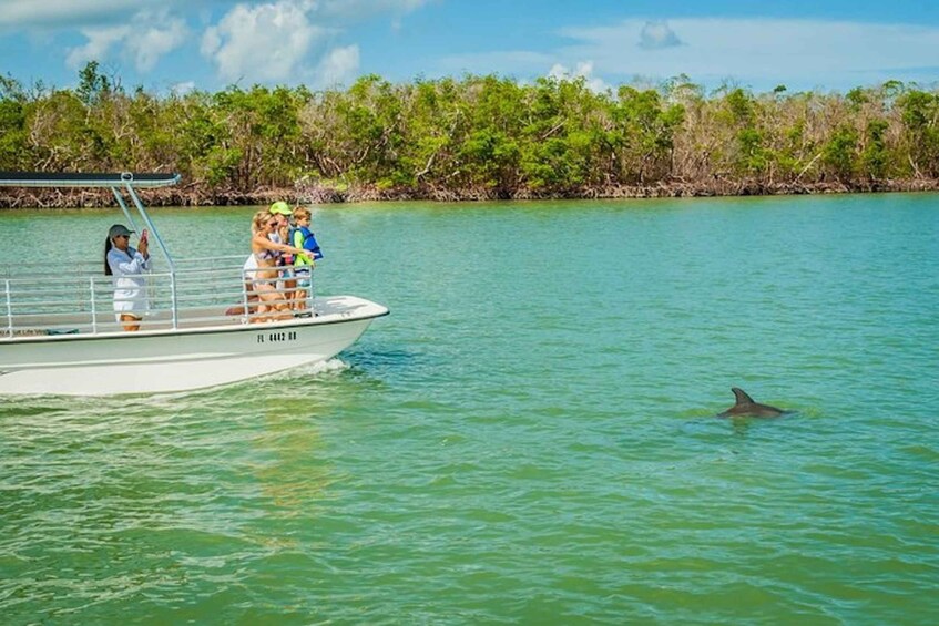 Picture 2 for Activity Marco Island: Dolphin-Watching Boat Tour