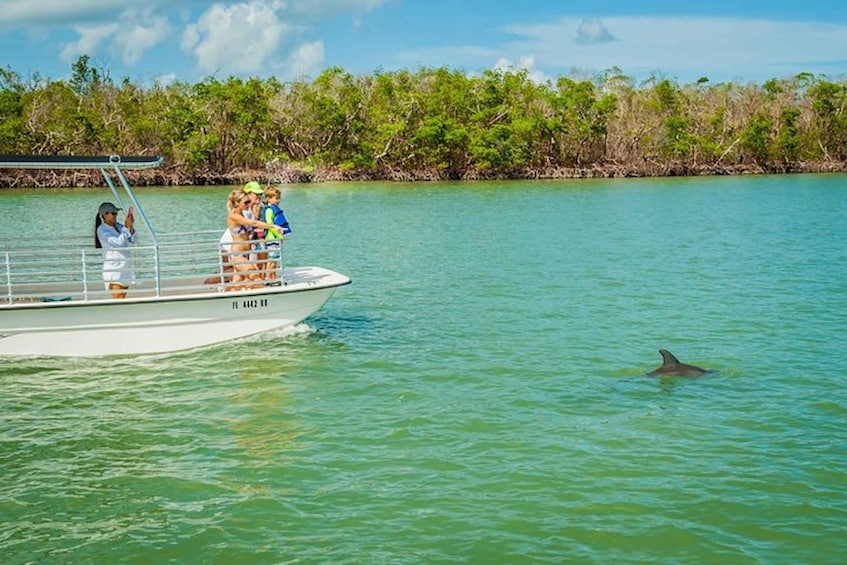 Picture 2 for Activity Marco Island: Dolphin-Watching Boat Tour