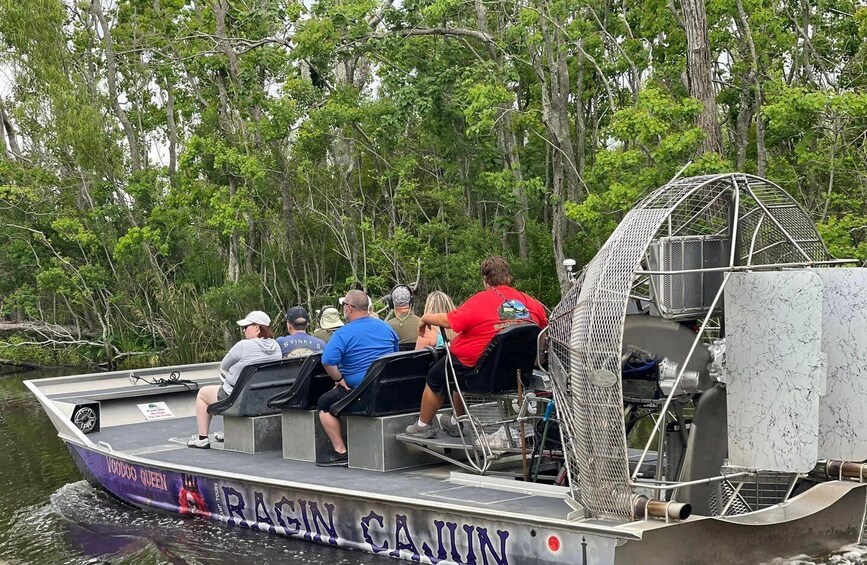 Picture 4 for Activity New Orleans: 10 Passenger Airboat Swamp Tour