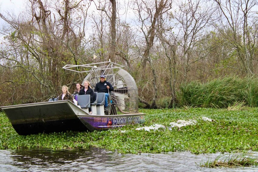 Picture 5 for Activity New Orleans: 10 Passenger Airboat Swamp Tour