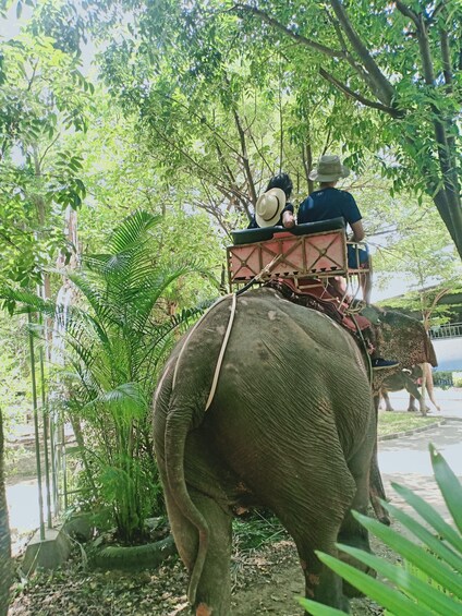 Picture 11 for Activity Unforgettable Phnom Penh Adventure: Two-Day Tours